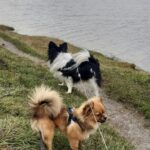 Hobro Camping Gattenborg - Bild 9 Hobro Camping Gattenborg - Bild 9