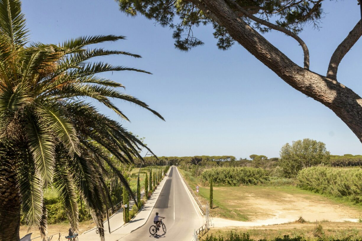 Hu Park Albatros Village - Bild 15 Hu Park Albatros Village - Bild 15