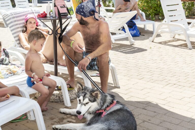 Hu Park Albatros Village - Bild 8 Hu Park Albatros Village - Bild 8