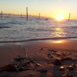 Hummingen Camping - Bild 2 Hummingen Camping - Bild 2