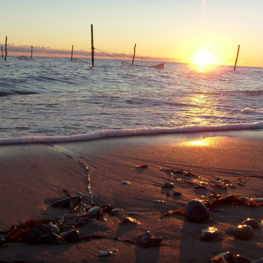 Hummingen Camping - Bild 2 Hummingen Camping - Bild 2