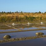 Huttopia Ars-en-ré - Bild 13 Huttopia Ars-en-ré - Bild 13