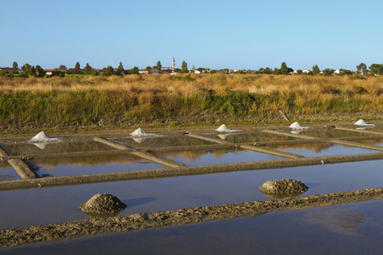 Huttopia Ars-en-ré - Bild 13 Huttopia Ars-en-ré - Bild 13