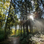 Huttopia Forêt Des Vosges - Bild 13