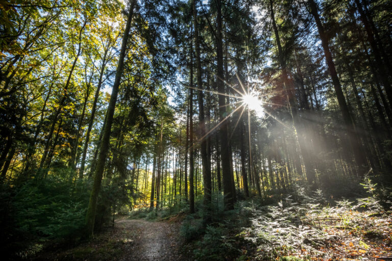Huttopia Forêt Des Vosges - Bild 13