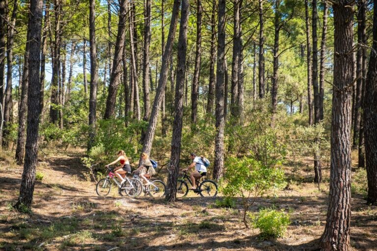 Huttopia Lac De Carcans - Bild 6 Huttopia Lac De Carcans - Bild 6