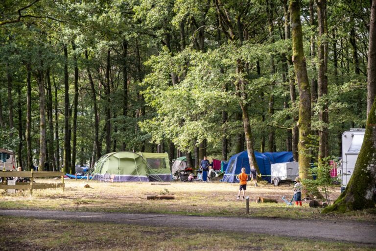 Huttopia Lac De Sillé - Bild 6