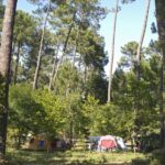 Huttopia Landes Sud - Bild 14