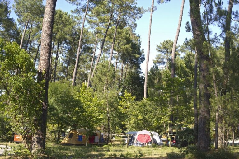 Huttopia Landes Sud - Bild 14