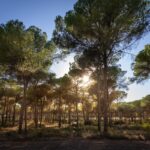 Huttopia Parque Doñana - Bild 16