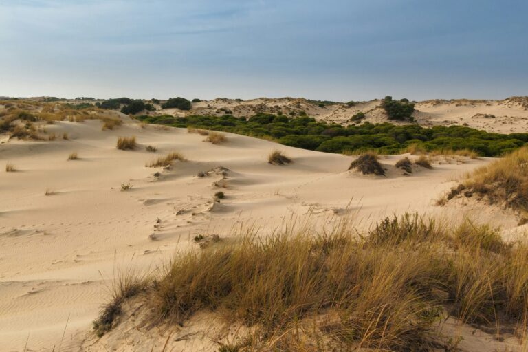 Huttopia Parque Doñana - Bild 8