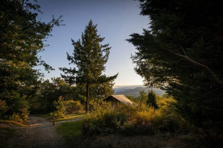 Huttopia Pays De Condreu - Bild 2