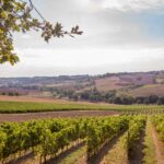 Huttopia Pays De Cordes Sur Ciel - Bild 16