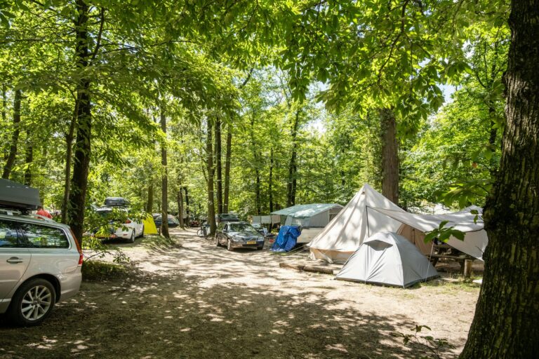 Huttopia Versailles - Bild 10