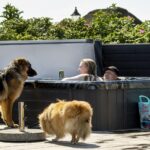 Hvidbjerg Strand Feriepark - Bild 12 Hvidbjerg Strand Feriepark - Bild 12