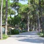 Il Tridente Camping Village - Bild 14