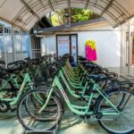 International Camping Mare E Pineta - Bild 9 International Camping Mare E Pineta - Bild 9