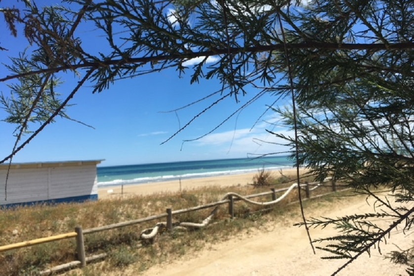 International Camping Torre Cerrano - Bild 9 International Camping Torre Cerrano - Bild 9