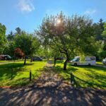 Kamp Savinja - Bild 2 Kamp Savinja - Bild 2