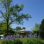 Kanopée Village - Bild 7