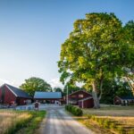 Kerstins Camping - Bild 12