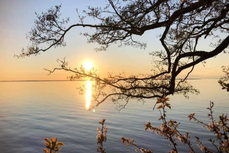 Kinnekulle Camping & Stugby - Bild 11