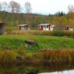 Klarälvens Camping - Bild 8 Klarälvens Camping - Bild 8