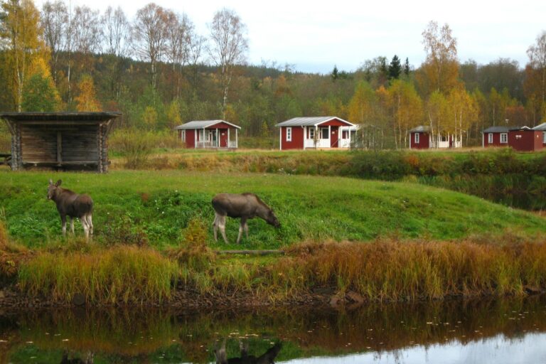 Klarälvens Camping - Bild 8 Klarälvens Camping - Bild 8