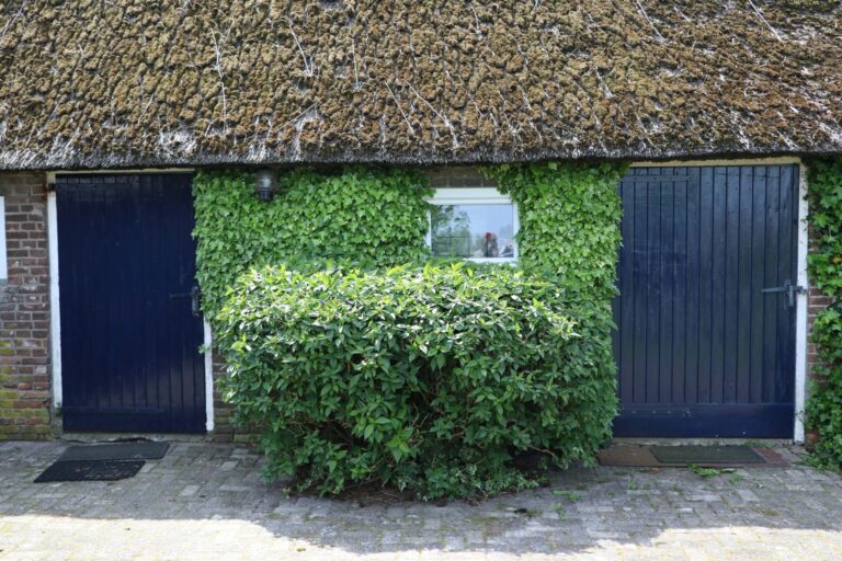 Kleine Camping De Duin - Bild 10