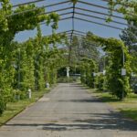 Knaus Campingpark Bad Dürkheim - Bild 4 Knaus Campingpark Bad Dürkheim - Bild 4