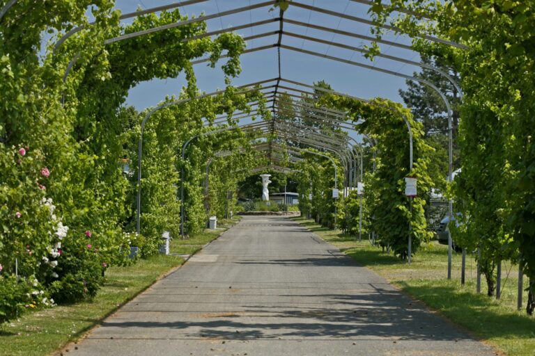 Knaus Campingpark Bad Dürkheim - Bild 4 Knaus Campingpark Bad Dürkheim - Bild 4