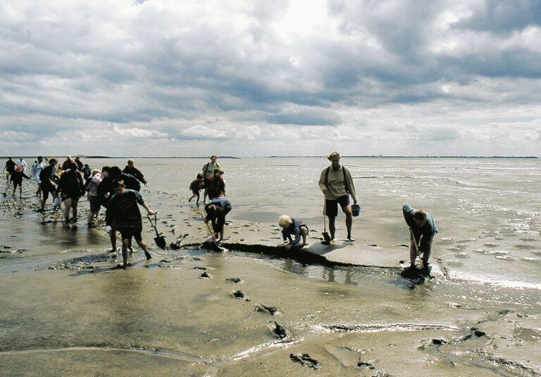 Knaus Campingpark Eckwarderhörne - Bild 8