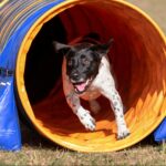 Knaus Campingpark Viechtach - Bild 19