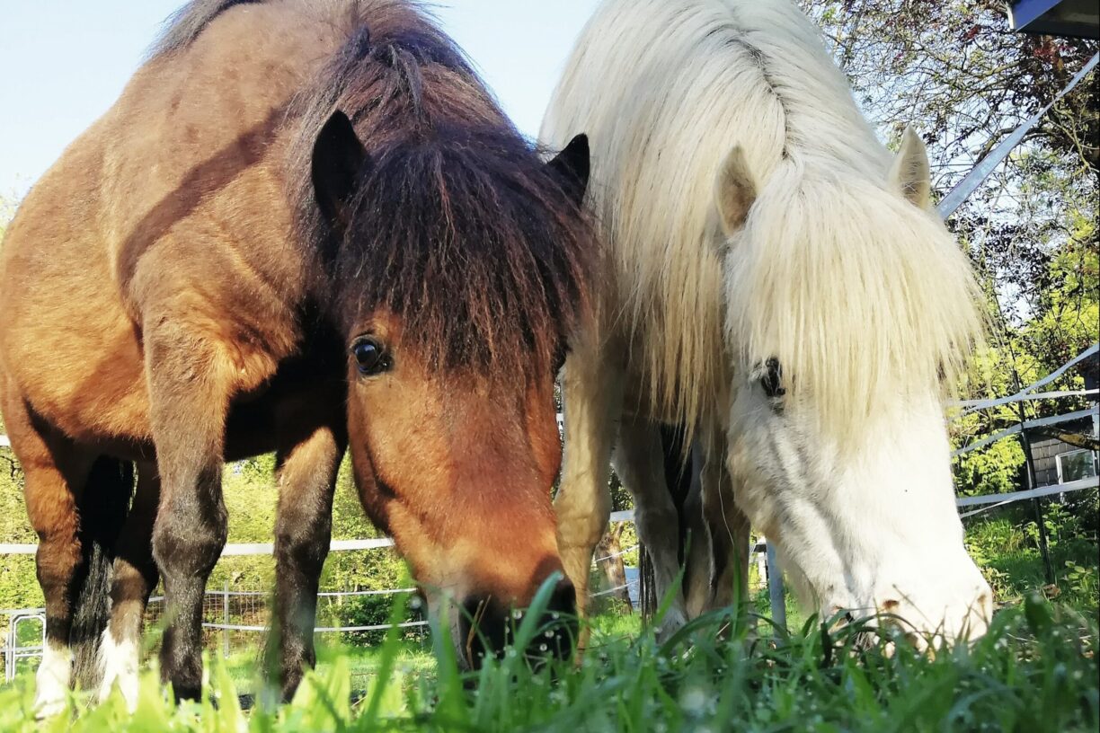 Knaus Campingpark Wingst - Bild 11 Knaus Campingpark Wingst - Bild 11