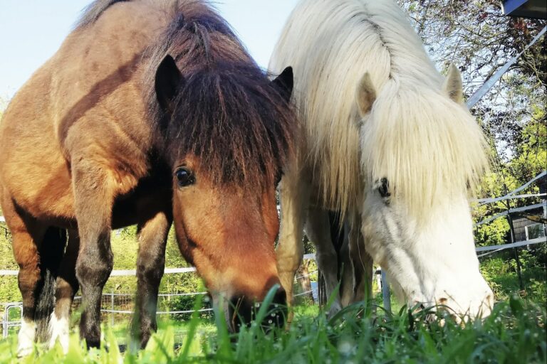 Knaus Campingpark Wingst - Bild 11 Knaus Campingpark Wingst - Bild 11