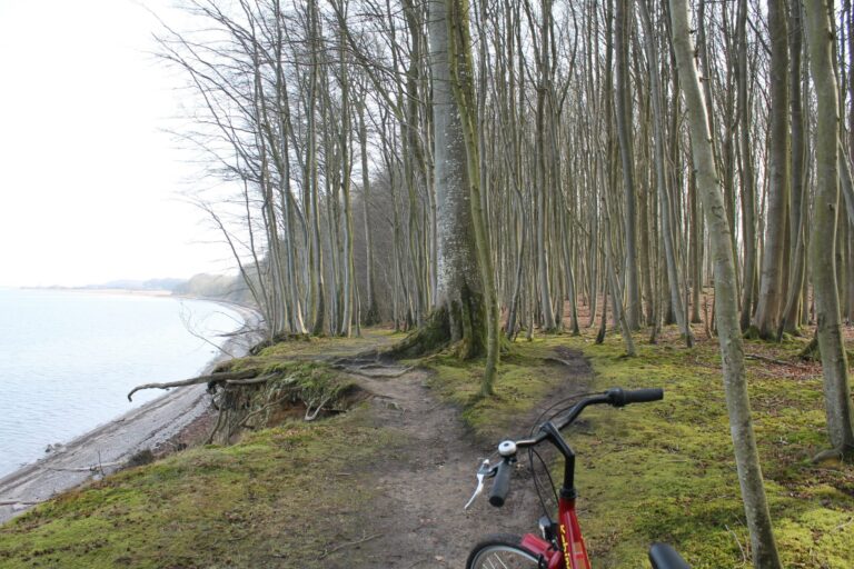 Købingsmark-strand-camping - Bild 11