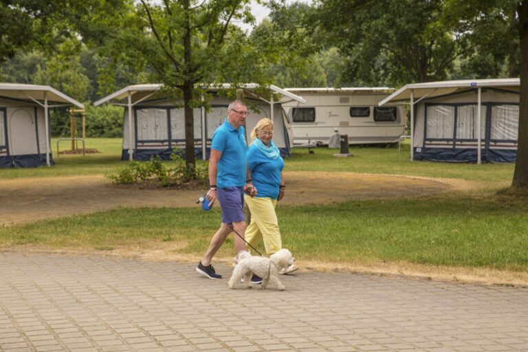 Komfortcamping Senftenberger See - Bild 3
