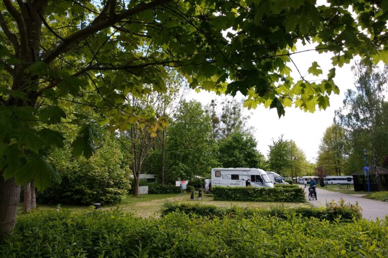 Komfortcamping Senftenberger See - Bild 1
