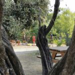 La Fontaine D'annibal - Bild 15 La Fontaine D'annibal - Bild 15