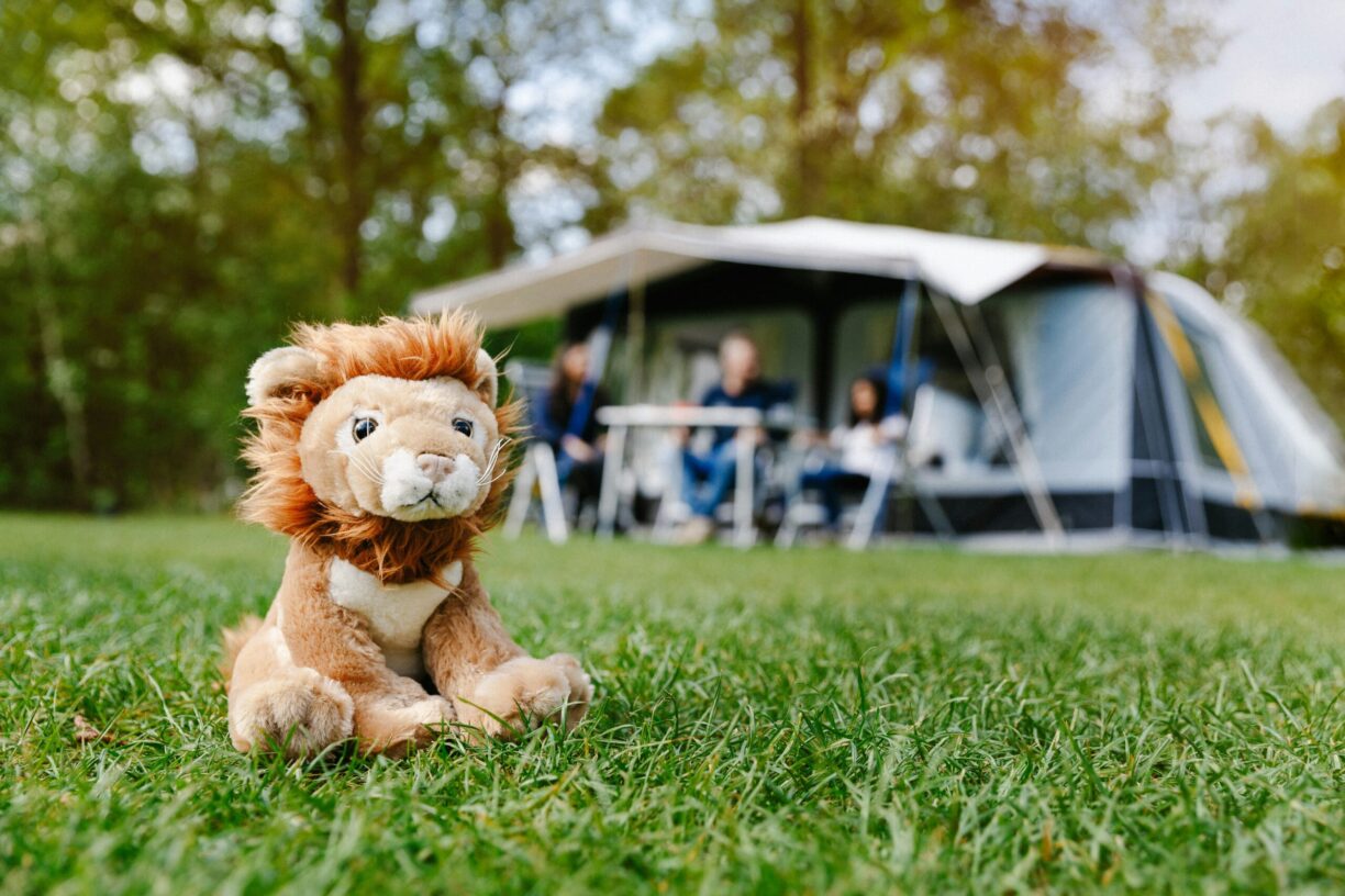 Lake Resort Beekse Bergen - Bild 3 Lake Resort Beekse Bergen - Bild 3