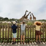 Lake Resort Beekse Bergen - Bild 9 Lake Resort Beekse Bergen - Bild 9