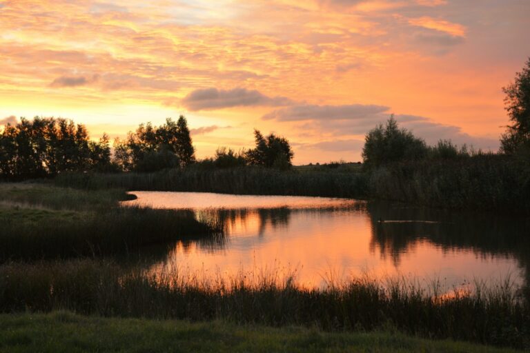 Landschapscamping Kijkuit - Bild 7