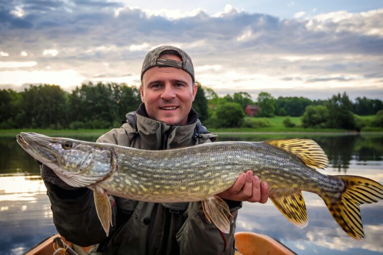 Långasjönäs Camping & Holiday Village - Bild 6