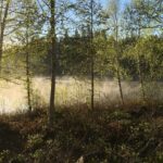 Långsjön Stugor & Camping - Bild 7