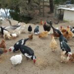 L'eden Camping - Bild 5