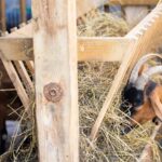 Le Camp De Florence - Bild 17