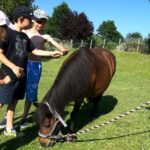 Le Hameau Des Genêts - Bild 7