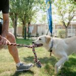 Le Mimose Family Resort - Bild 11