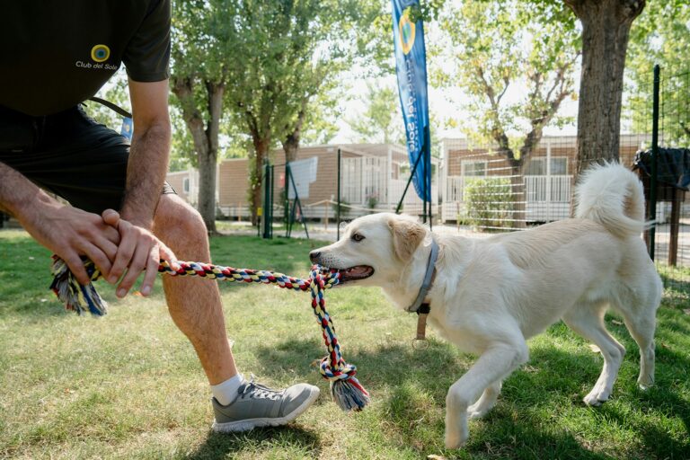 Le Mimose Family Resort - Bild 11