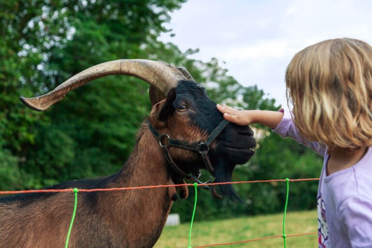 Le Moulin - Bild 15 Le Moulin - Bild 15